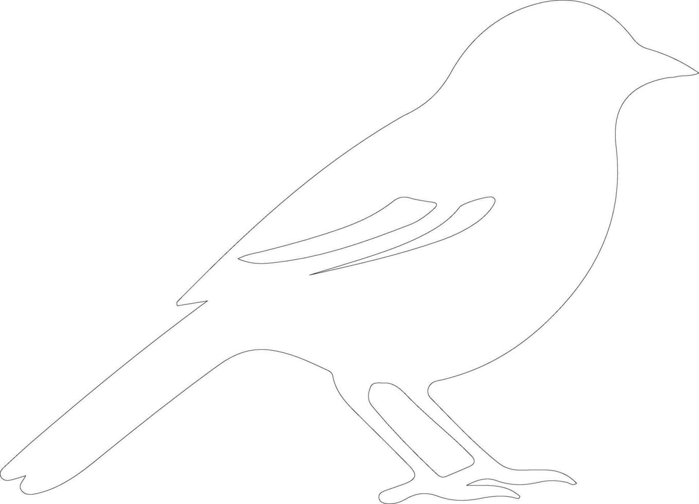 bird  outline silhouette vector