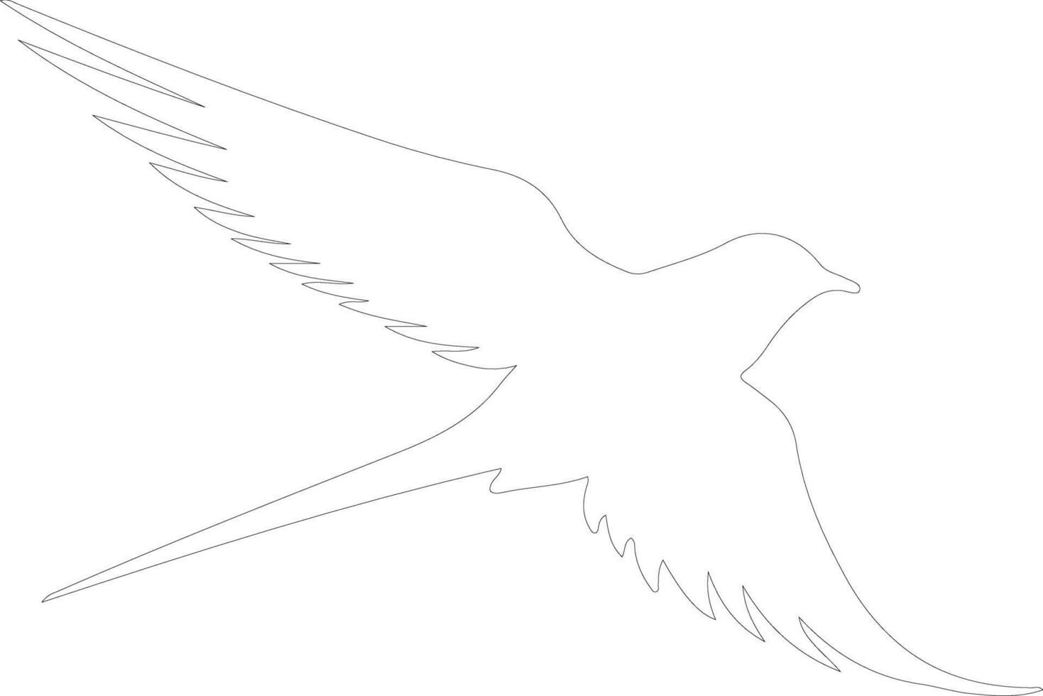 Arctic tern  outline silhouette vector