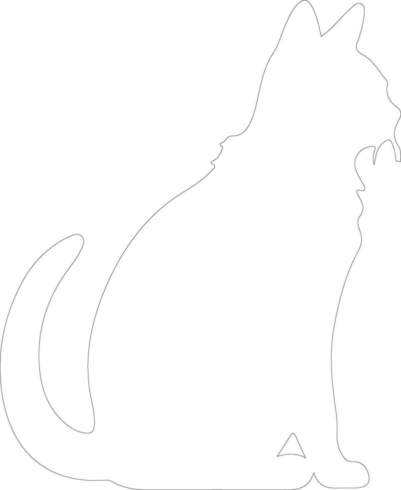 Australian Mist Cat  outline silhouette vector
