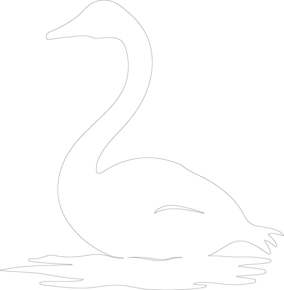 trumpeter swan    outline silhouette vector