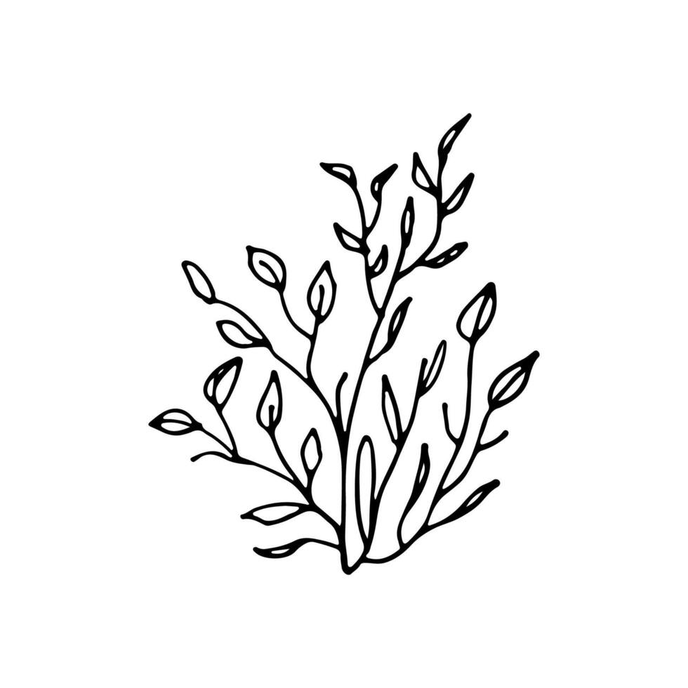 Deciduous shrub. Plant. Bush with foliage. Doodle. Vector illustration. Hand drawn. Outline.