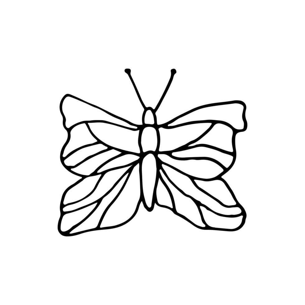 Butterfly, insect. Doodle. Vector illustration. Hand drawn. Outline.