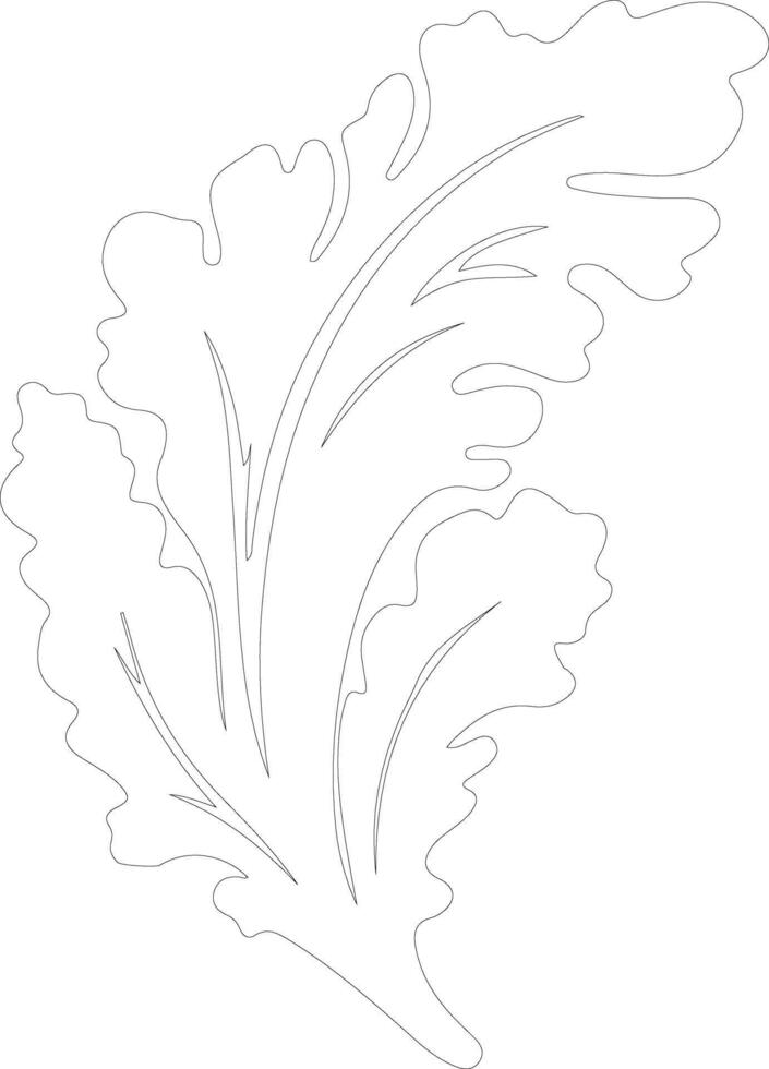 lettuce outline silhouette 38492221 Vector Art at Vecteezy