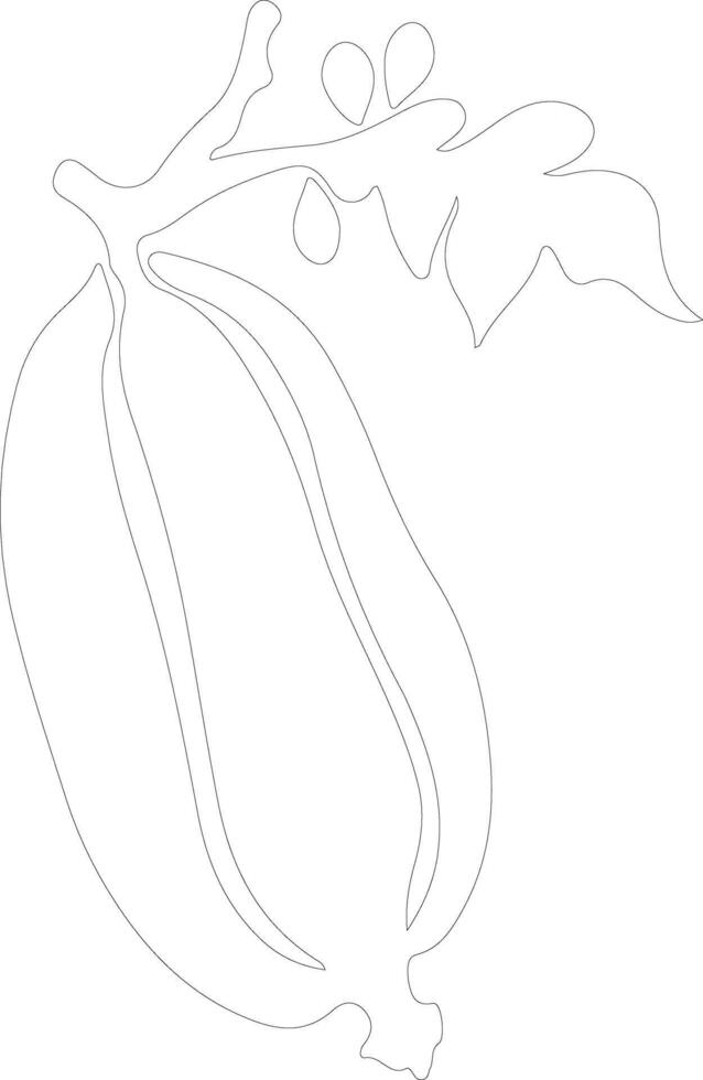 papaya contorno silueta vector
