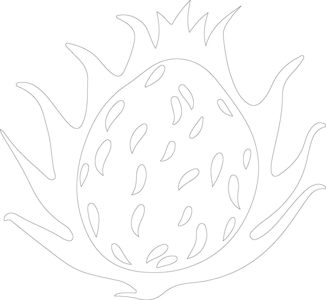 dragon fruit  outline silhouette vector