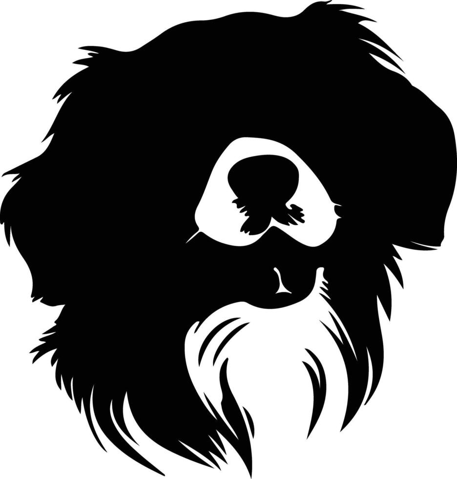 Tibetan Spaniel  silhouette portrait vector