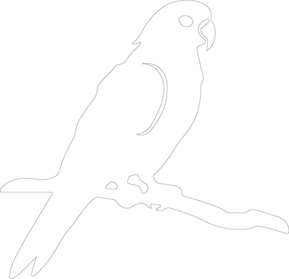 African gray parrot  outline silhouette vector