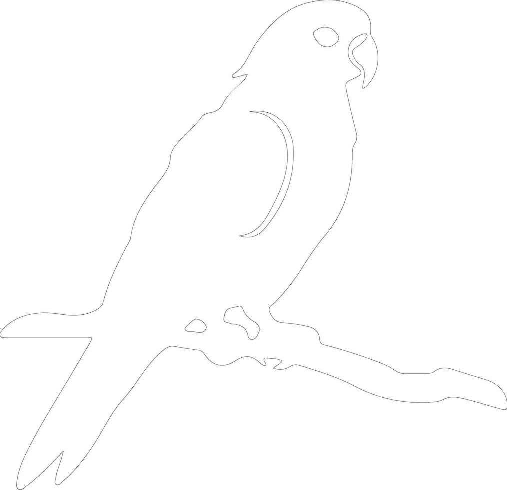 African gray parrot  outline silhouette vector