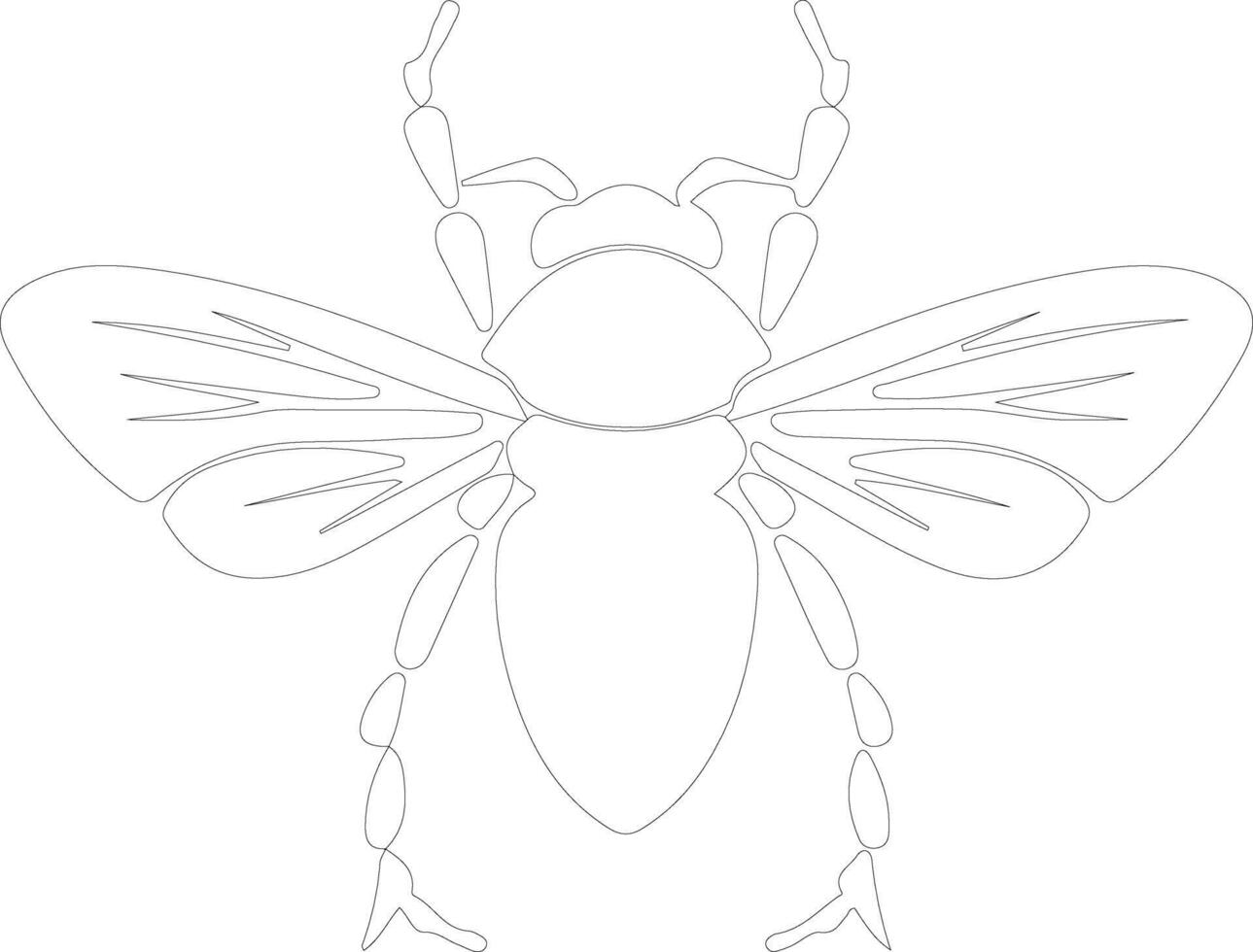 cicada outline silhouette vector