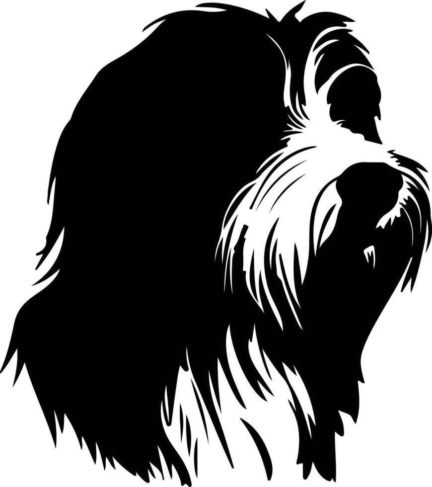 Bearded Collie  silhouette portrait vector