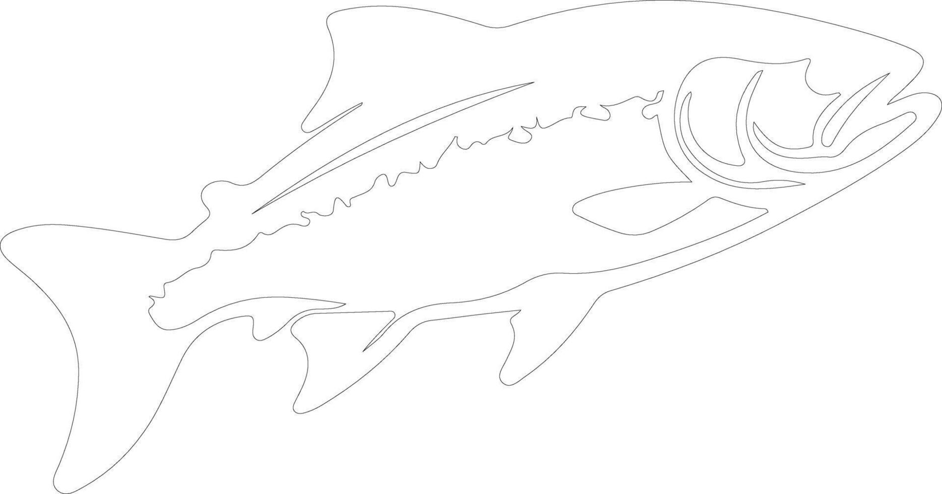 salmon   outline silhouette vector