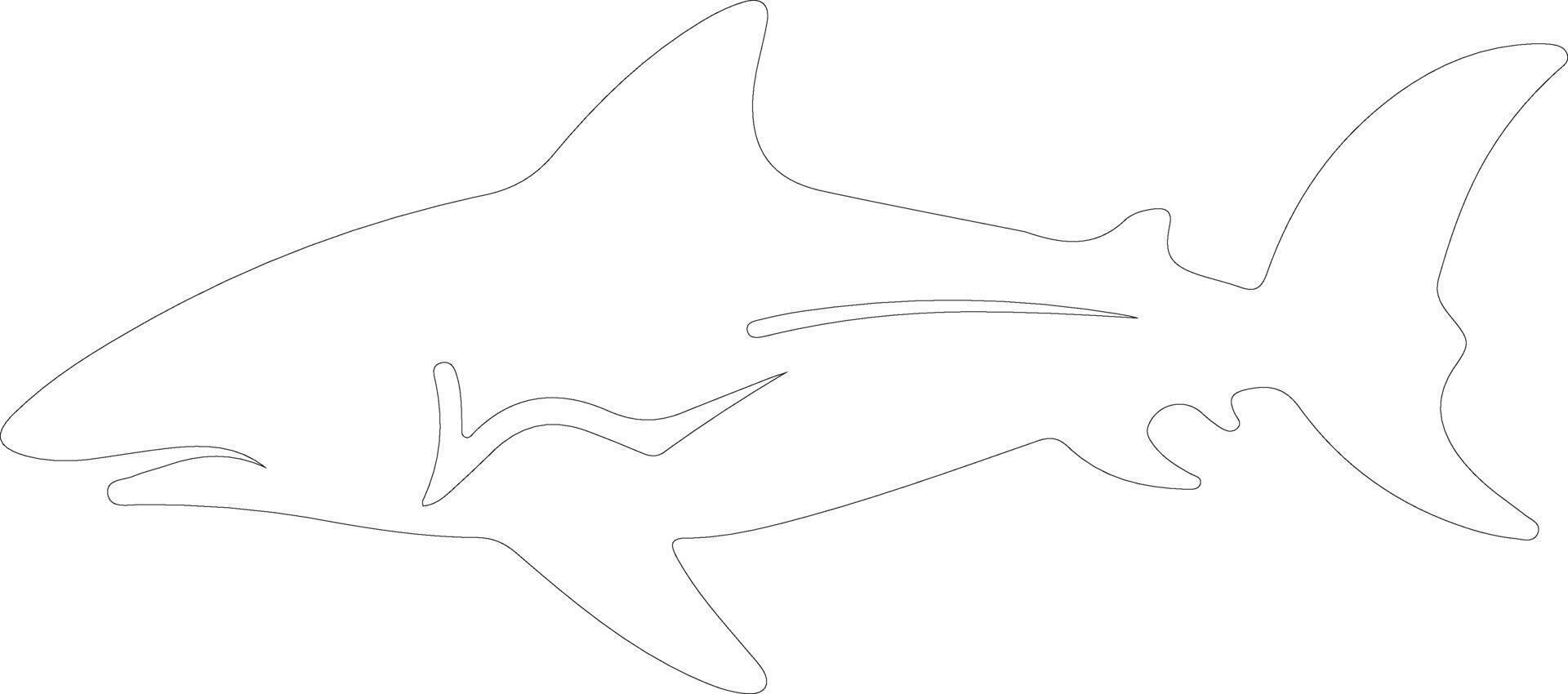 Port Jackson shark    outline silhouette vector