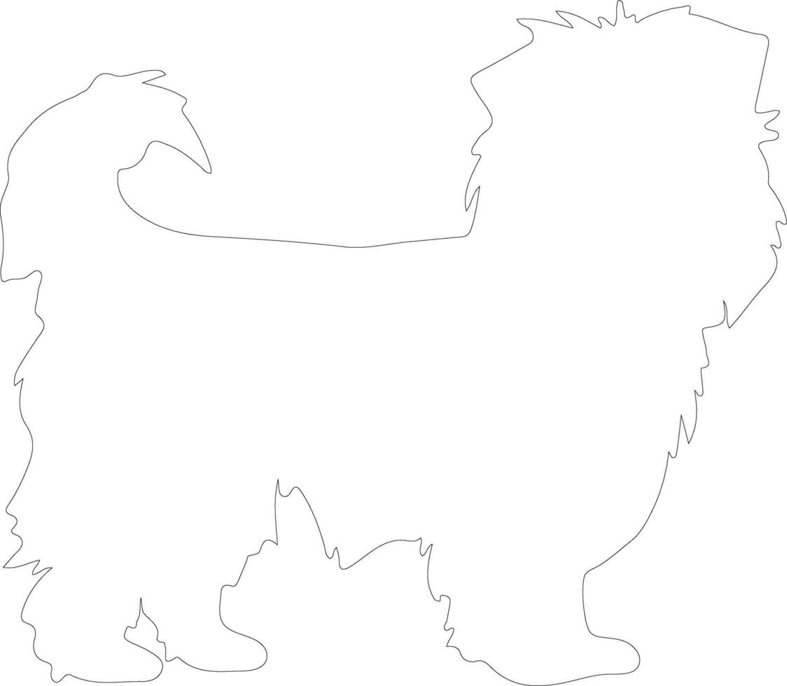 Affenpinscher  outline silhouette vector