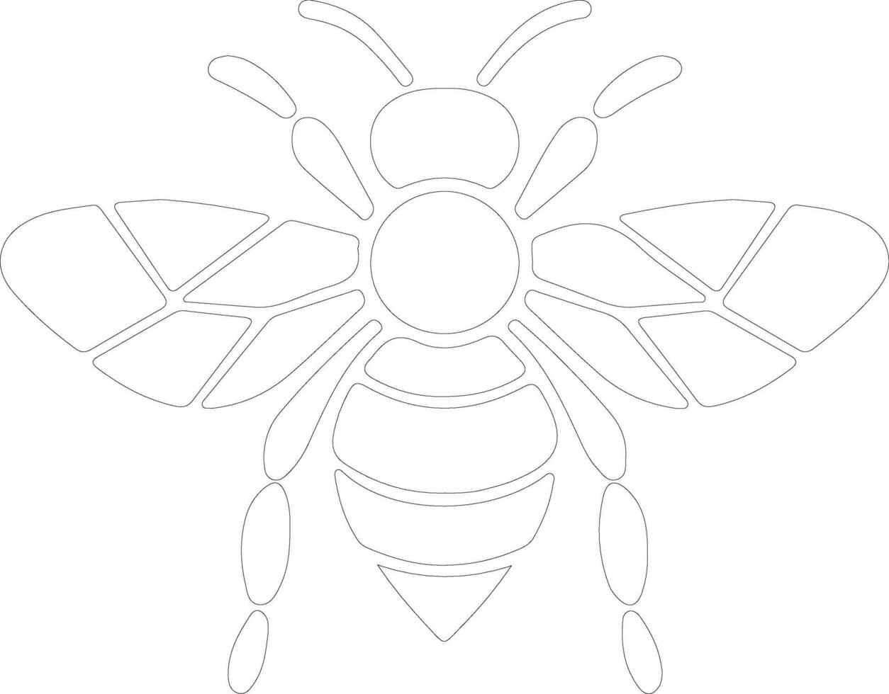 honey bee  outline silhouette vector