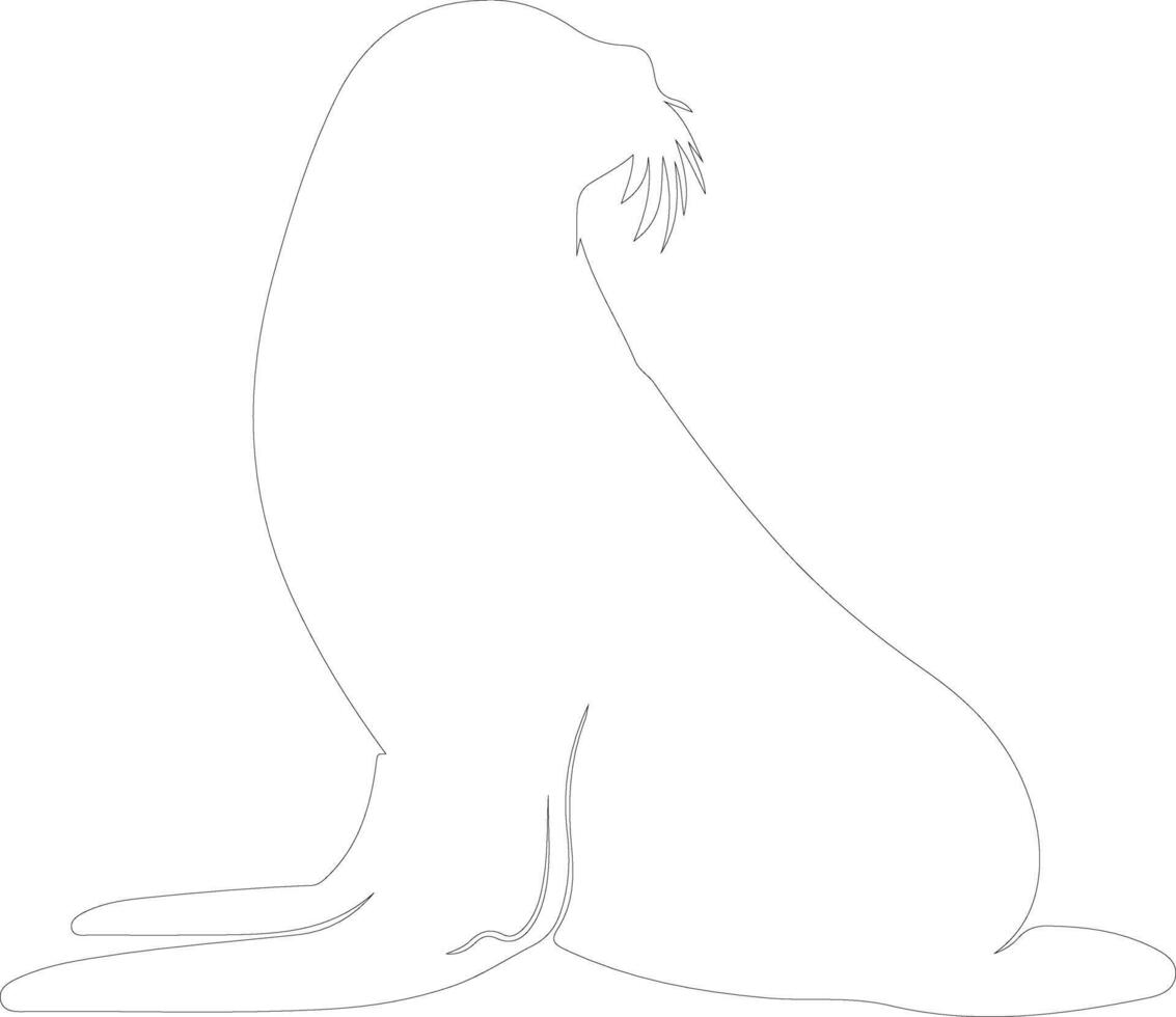 seal   outline silhouette vector