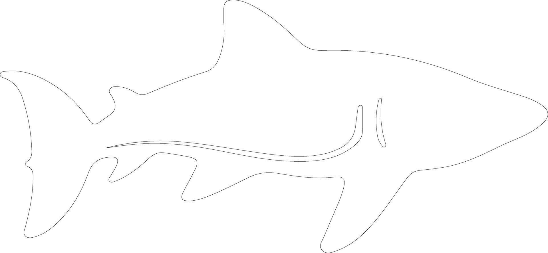 whale shark  outline silhouette vector