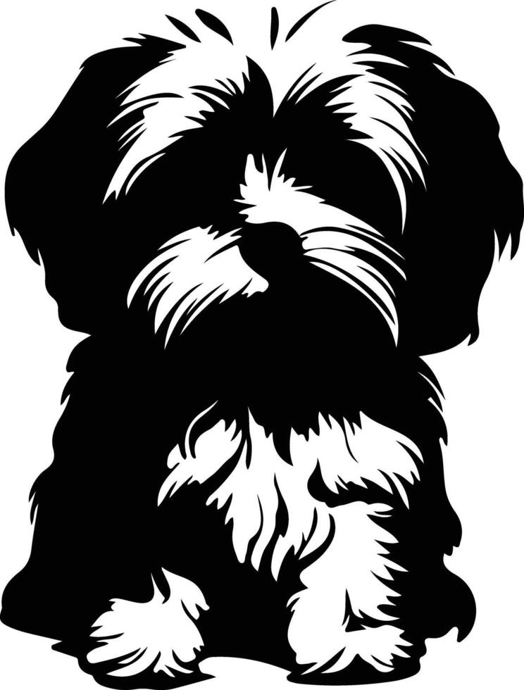 Maltese    black silhouette vector