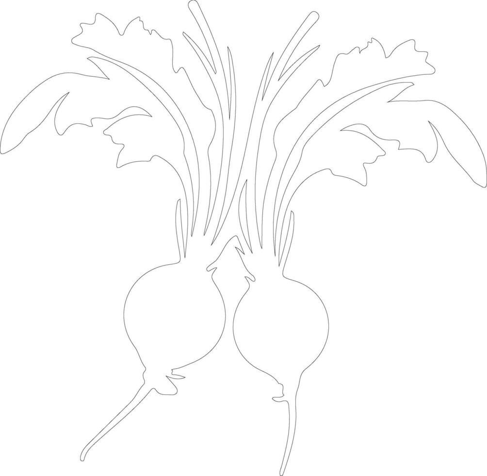 beets  outline silhouette vector