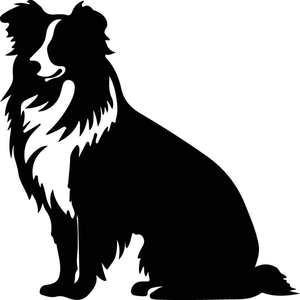 Shetland perro pastor negro silueta vector