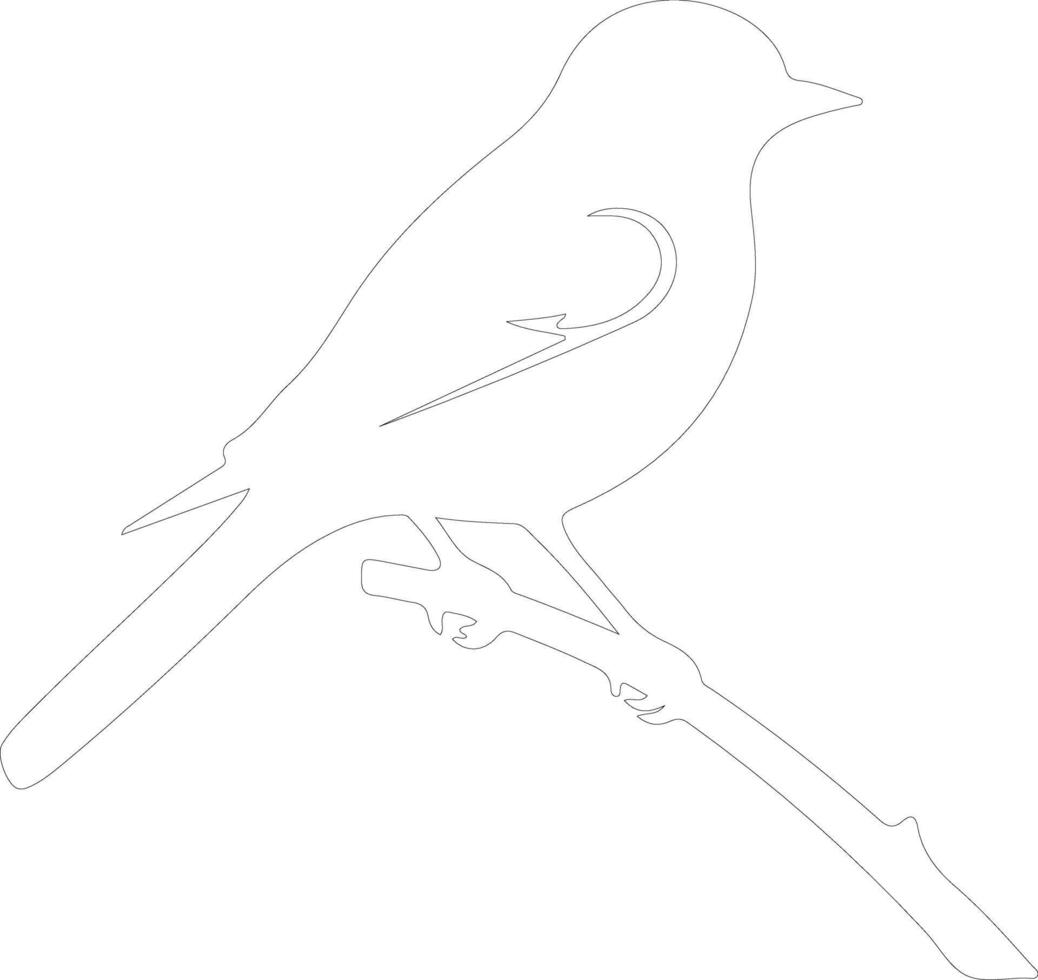 eastern bluebird   outline silhouette vector