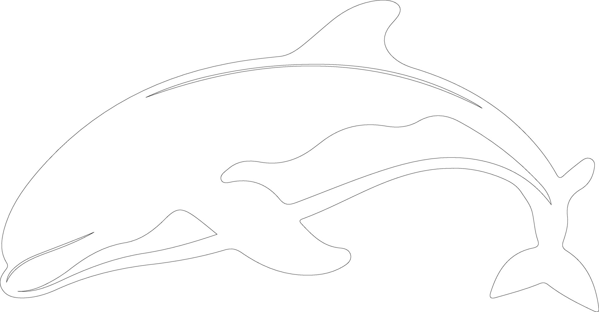 beluga whale outline silhouette 38492623 Vector Art at Vecteezy