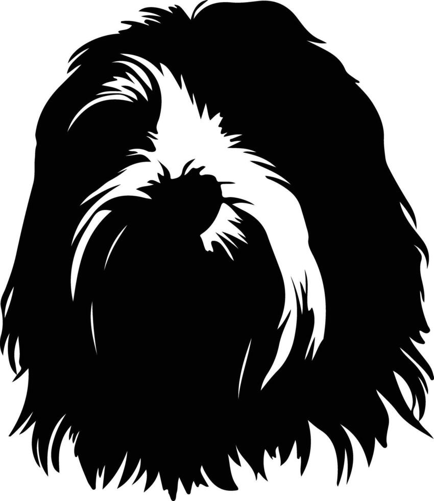 Bearded Collie  silhouette portrait vector