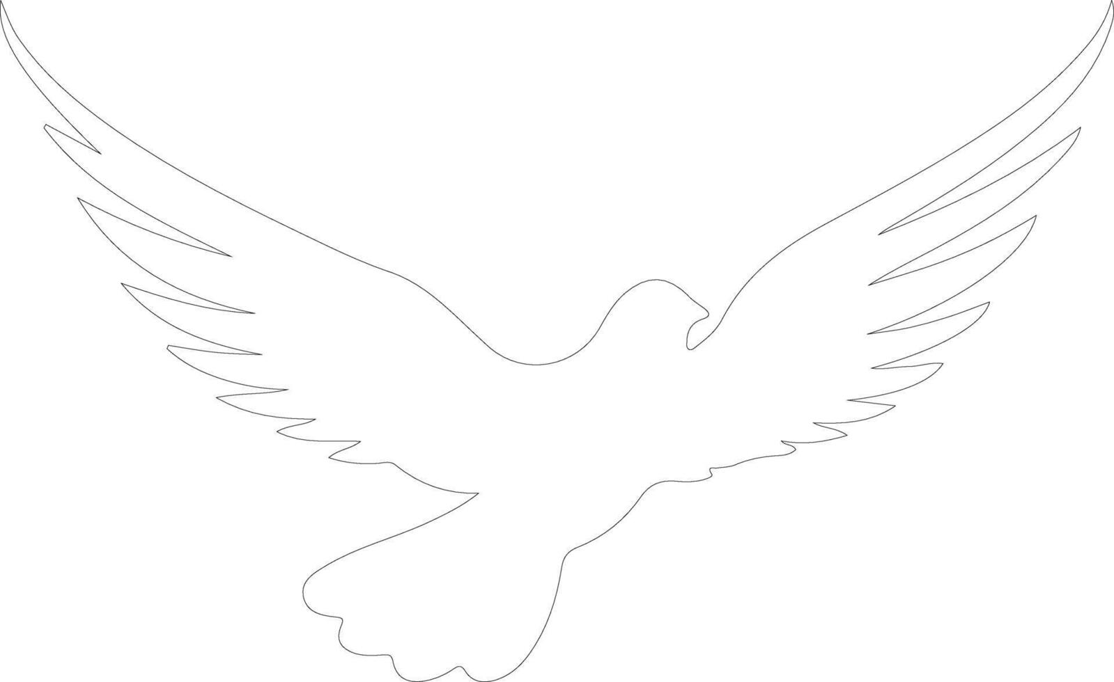 dove    outline silhouette vector