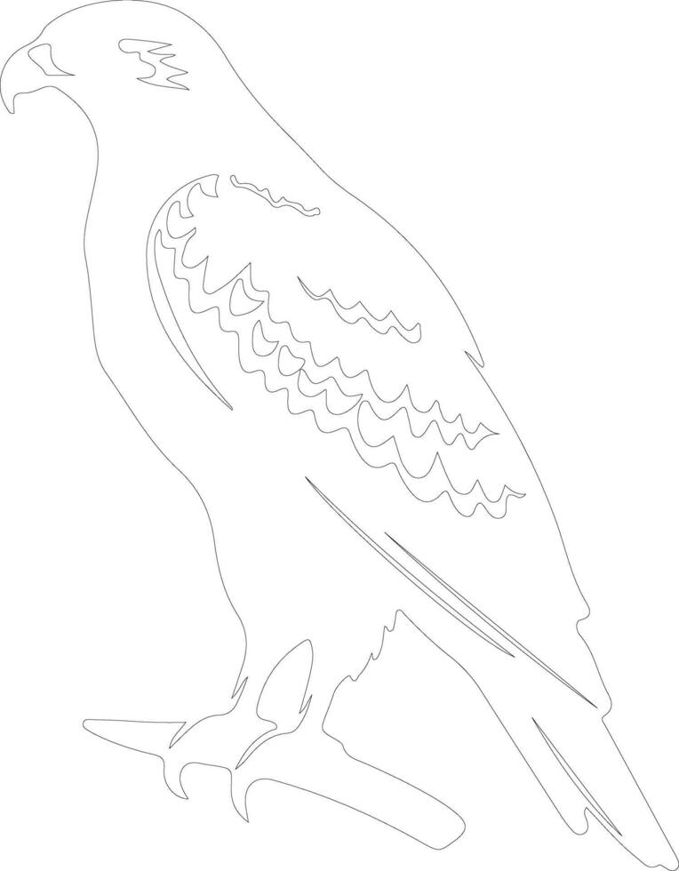 hawk  outline silhouette vector