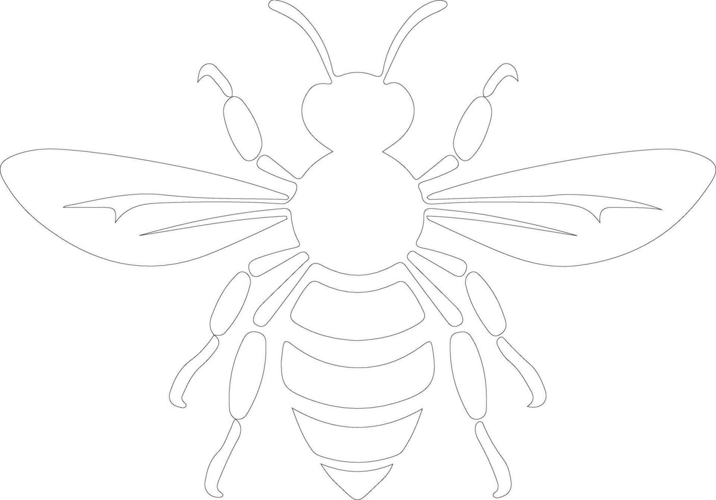 hornet  outline silhouette vector