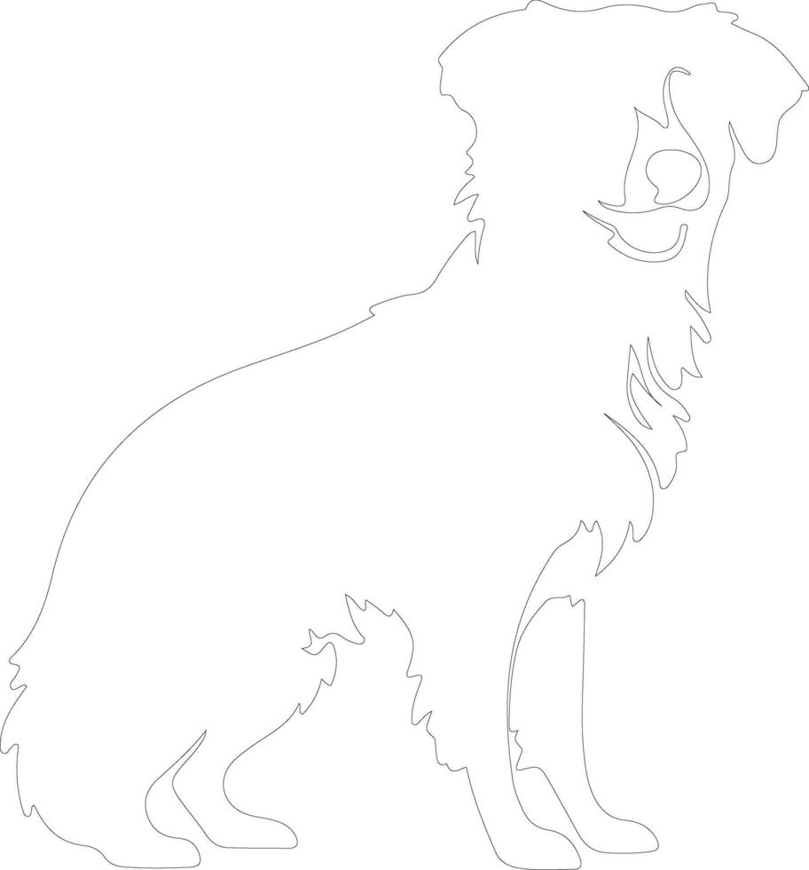 Nova Scotia Duck Tolling Retriever  outline silhouette vector