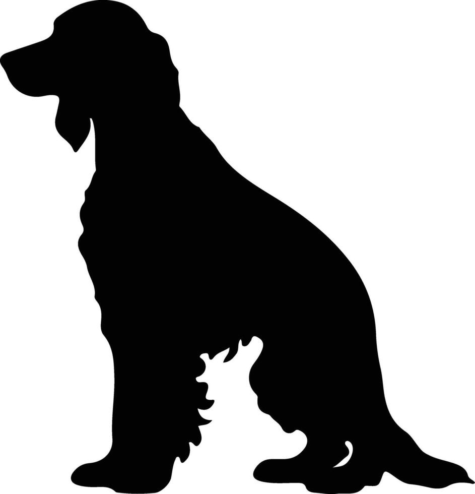 Irish Water Spaniel    black silhouette vector