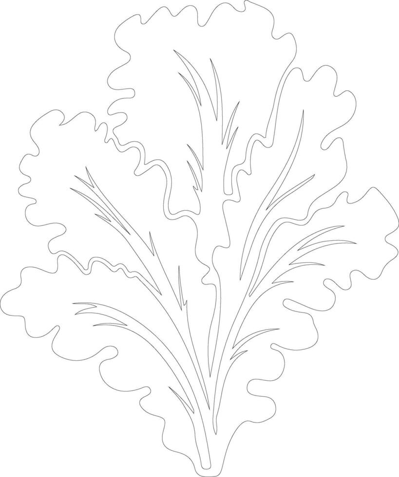 lechuga contorno silueta vector