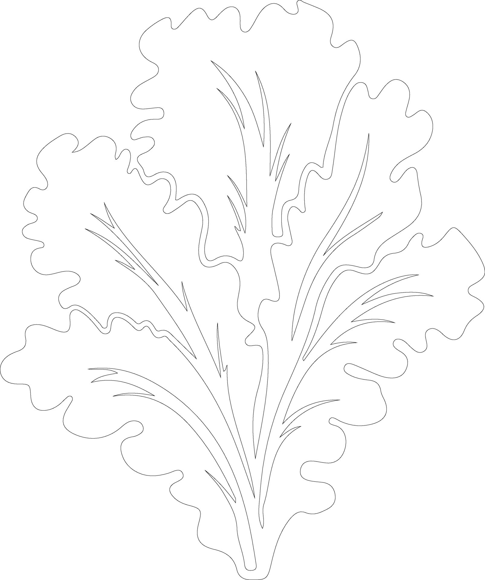 lettuce outline silhouette 38492769 Vector Art at Vecteezy