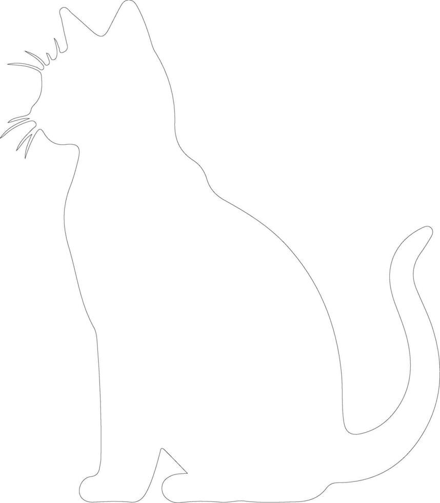 Javanese Cat  outline silhouette vector