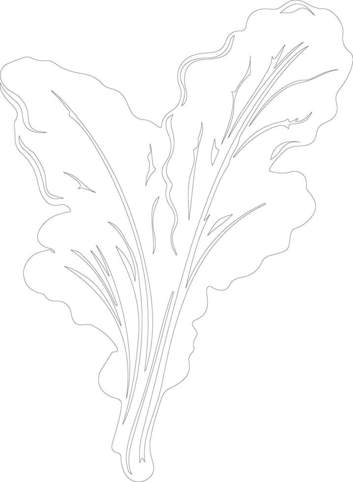 chard  outline silhouette vector