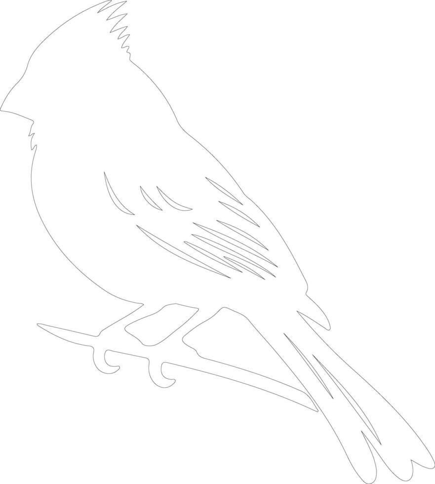 cardinal outline silhouette vector