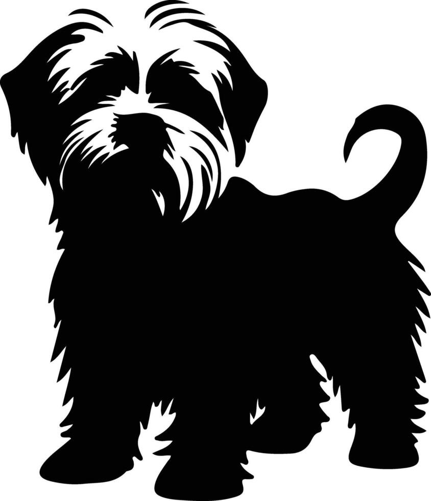 dandi dimont terrier negro silueta vector