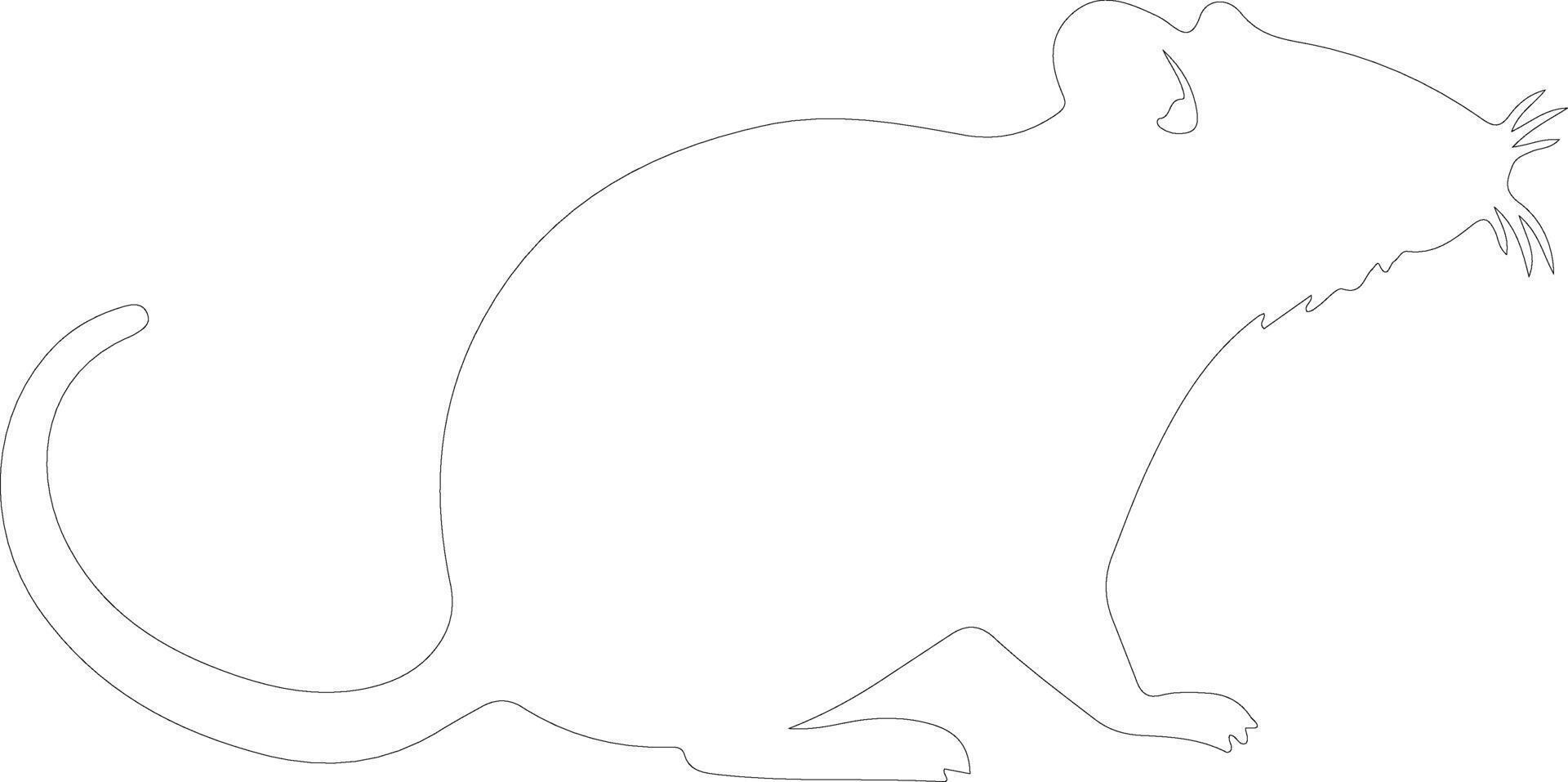 rat    outline silhouette vector