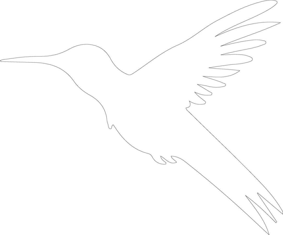 ruby-throated hummingbird   outline silhouette vector