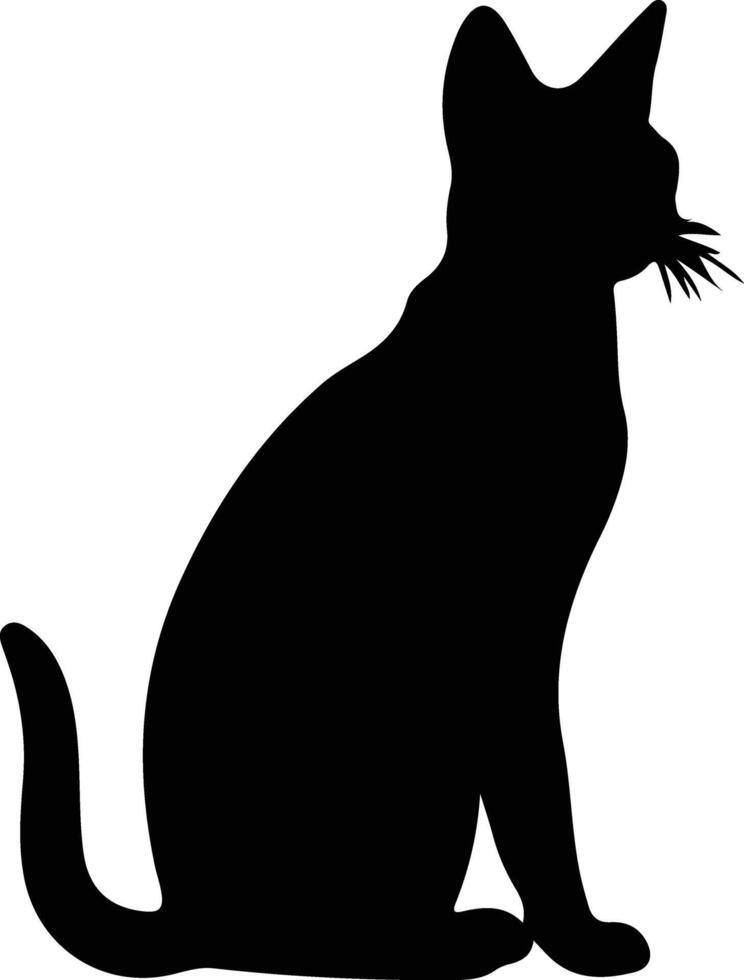 abisinio gato negro silueta vector