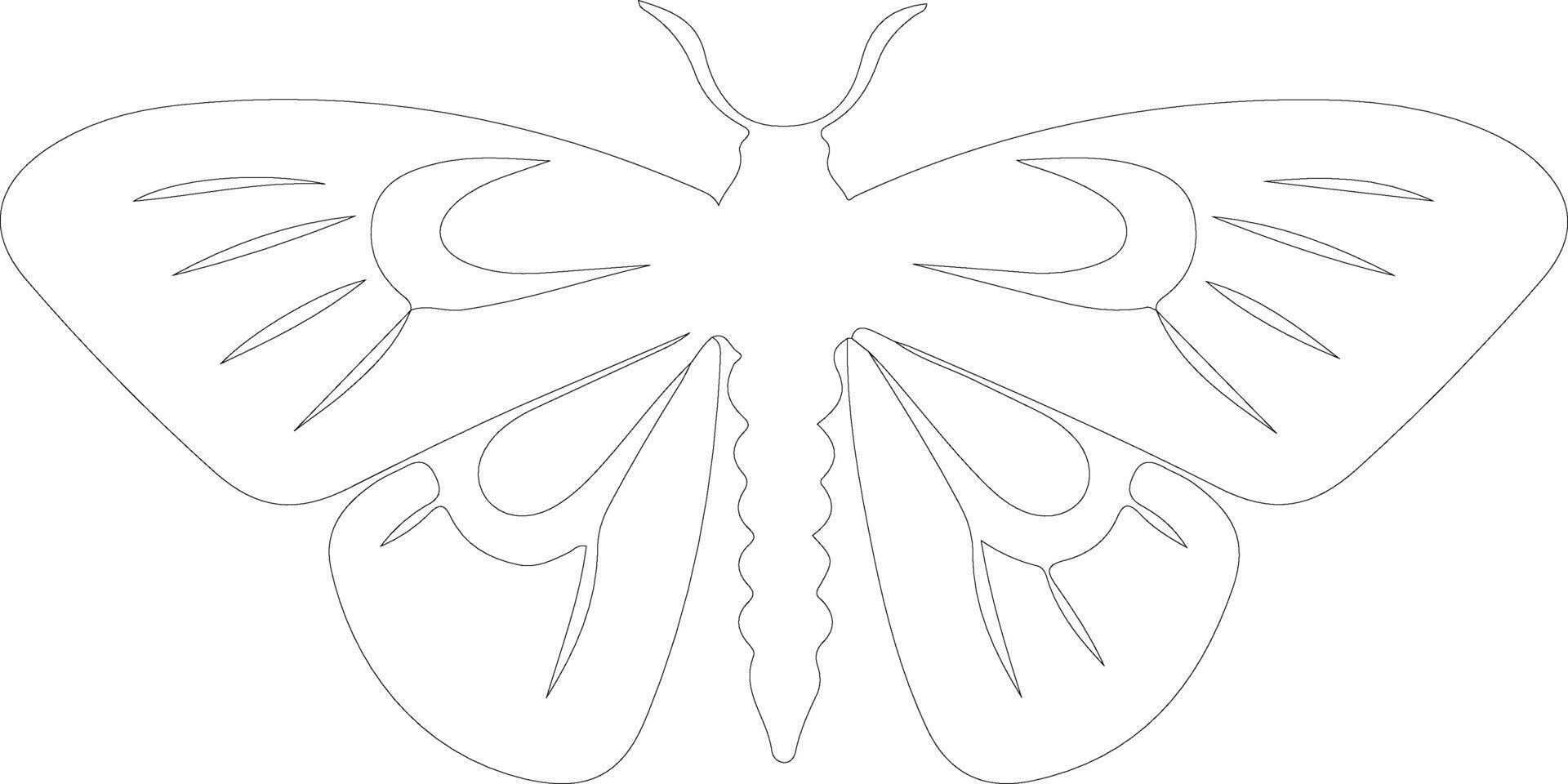 jumping bean moth  outline silhouette vector