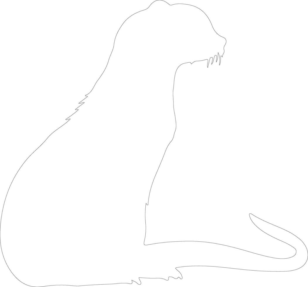 mink outline silhouette vector
