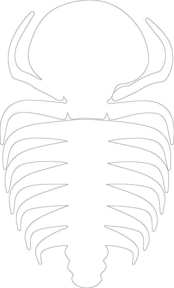 Trilobite   outline silhouette vector