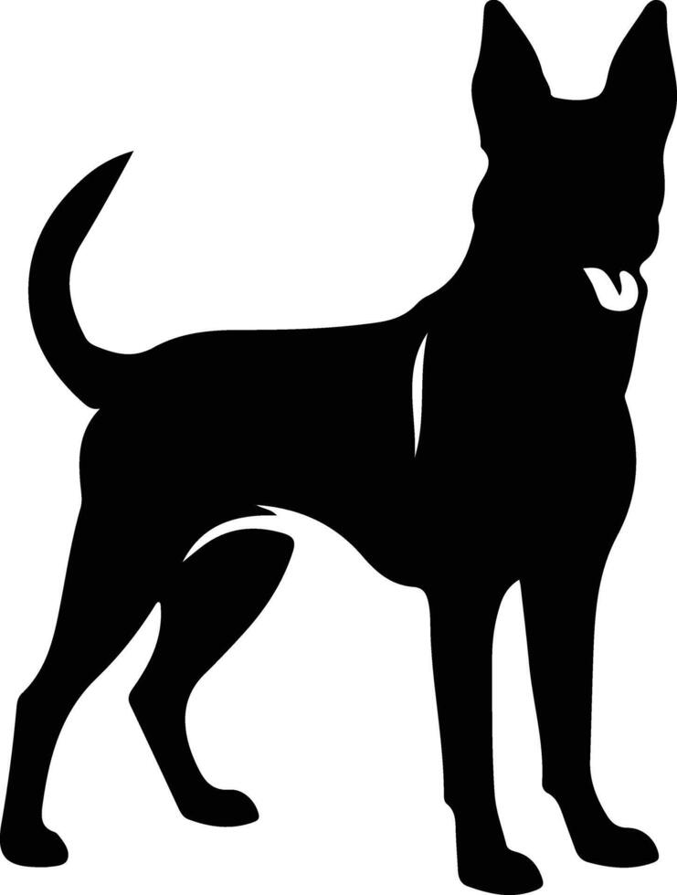 Belgian Malinois   black silhouette vector