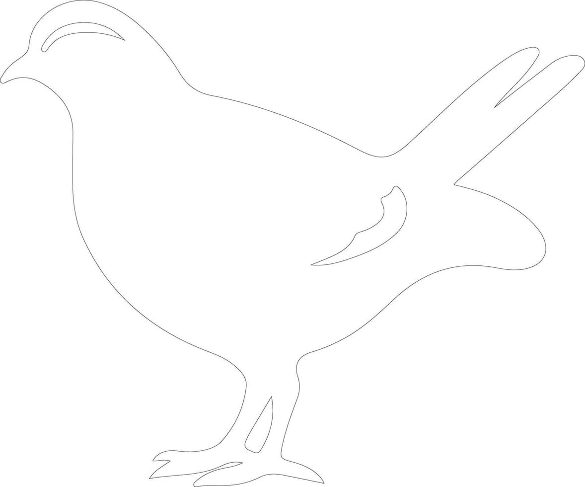 quail    outline silhouette vector