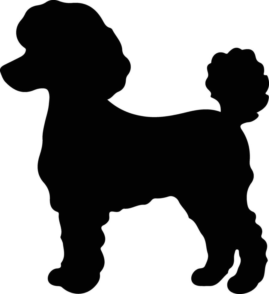 caniche negro silueta vector