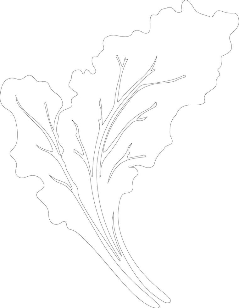 chard  outline silhouette vector