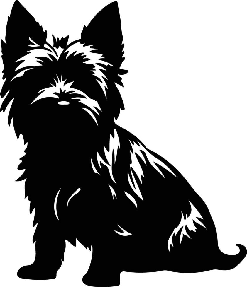 Norwich Terrier   black silhouette vector