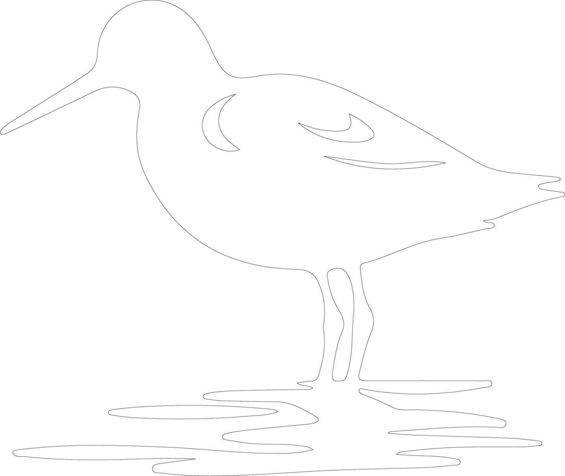 sandpiper   outline silhouette vector