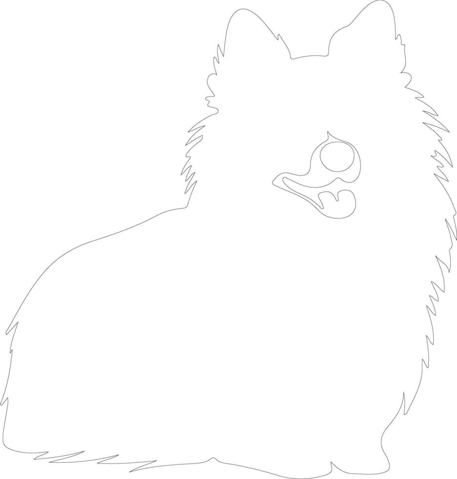American Eskimo Dog  outline silhouette vector